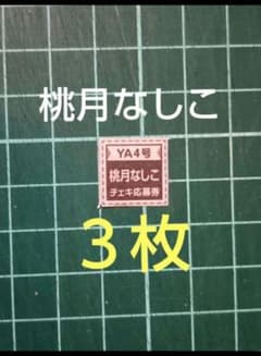 3枚 応募券 桃月なしこ 直筆サイン入りチェキ 抽プレ ヤングアニマル