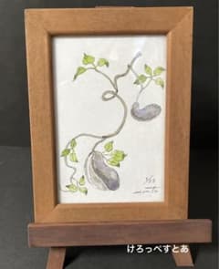 深沢門太 「あけび」 水彩画 絵画 額装 イーゼル - メルカリ
