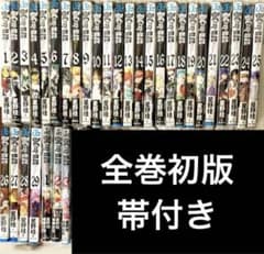 D.Gray-man 1～29巻 小説 画集 ファンブック 初版 全巻セット D.Gray-man 1～29巻 小説 画集 ファンブック 初版 全巻セット