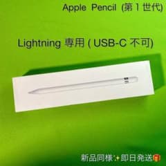 未使用✓】Apple Pencil 第1世代 A1603 Lightning用 - メルカリ