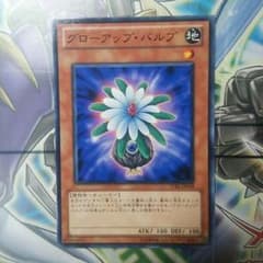 グローアップ・バルブのサムネイル