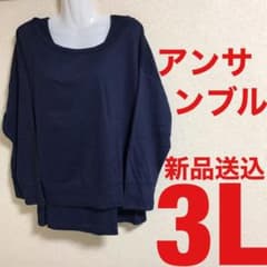 【３Ｌサイズ】レディース アンサンブル！新品込！大きいサイズ！大きなサイズ！4Lのサムネイル