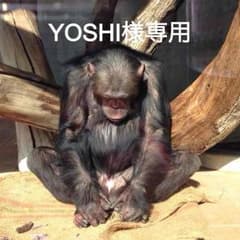 YOSHI様専用のサムネイル