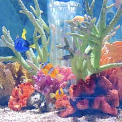 IKU様専用のサムネイル