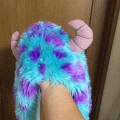 サリーのかぶり物のサムネイル