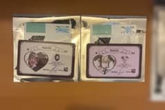 エイリアンステージ　バニステ　ルカ　ヒョナのサムネイル