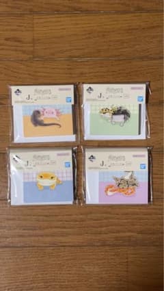 T.M.様専用一番くじ 爬虫類＆両生類 J賞 ②のみのサムネイル