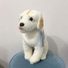 CU-MATE ラブラドール・レトリーバー 犬 ぬいぐるみ - メルカリ