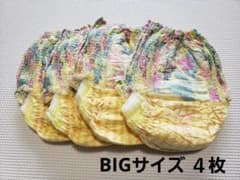 グーン スイミングパンツ 水あそびパンツ BIG 4枚のサムネイル