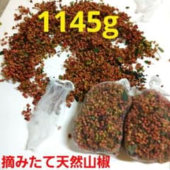 8日午後摘みたて!山椒の実 香辛料 1145g 使い方様々!種も利用価値ありのサムネイル