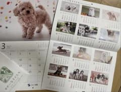 2026年 壁掛けカレンダー 「ゆかいな子犬たち」ソニー生命のサムネイル