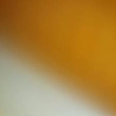 08125656のサムネイル