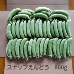 新鮮 スナップエンドウ 収穫したて　ネコポス　800gのサムネイル