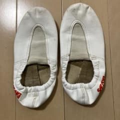 SASAKI 新体操 ハーフシューズ 22.5cmのサムネイル