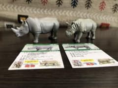 アニア　シロサイ　インドサイのサムネイル
