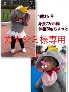 カナシミ様専用！！ダンボコスチューム 着ぐるみのサムネイル