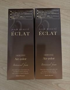 ヘアボーテ エクラ ボタニカル エアカラーフォーム ダークブラウン　2本のサムネイル