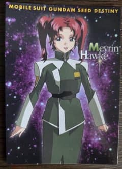 기동 전사 건담 SEED DESTINY 메이린 호크 카드