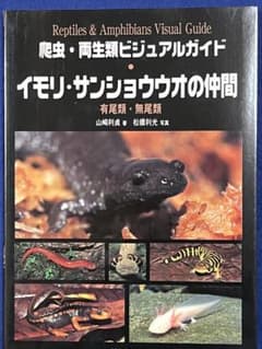 爬虫・両生類ビジュアルガイド イモリ・サンショウウオの仲間のサムネイル