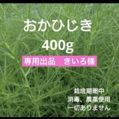 専用出品　　きいろ様　　おかひじき 400gのサムネイル