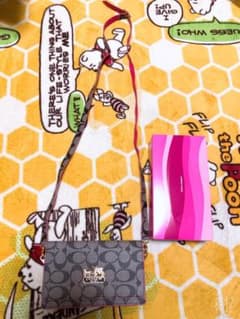 お値下げ★coach★ショルダー財布★のサムネイル