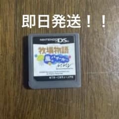 牧場物語　ようこそ風のバザールへのサムネイル