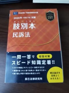 2025年 司法試験・予備試験 肢別本 民訴法のサムネイル