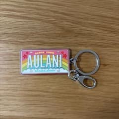 AULANI アウラニ キーホルダー ハワイ ディズニー