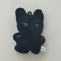 ウォヌ　ぬいぐるみ 5cm おまけ付きのサムネイル