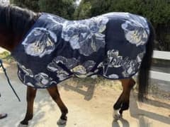 エスカドロン　フリース馬着のサムネイル