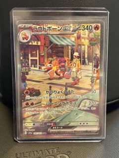 ラウドボーンSARのサムネイル