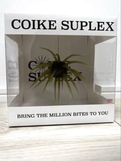 coike suplex コイケ スープレックス ウォーターメロン - メルカリ