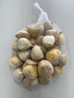 値下げ！生ジャンボにんにくのサムネイル