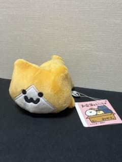 문구와 함께 장난감 꼬리 봉제 인형 새끼 고양이