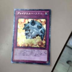 ユウ様専用なのサムネイル