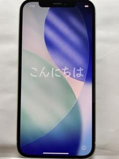 iPhone12 グリーン 128GB 本体のみ ※ライトニングコネクタに難あり iPhone12 グリーン 128GB 本体のみ ※ライトニングコネクタに難あり