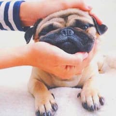 みきみき1234様専用のサムネイル