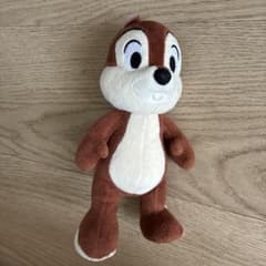 디즈니 리조트 칩과 데일 칩 전용
