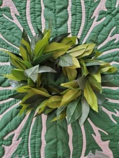 マイレ ハク ヘアアクセサリー フラダンス ハワイ タヒチアン フリーサイズ