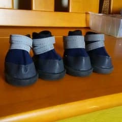 わんちゃん用、ブーッです。のサムネイル