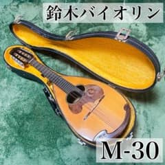 スズキ マンドリン M-30 8弦 鈴木バイオリン製 珍しい縦型ハードケース付き ラウンドマンドリン SUZUKI M-30 ハードケース付き - メルカリ