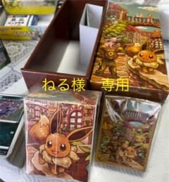 イーブイズセット サプライ3点　N Rまとめ売りのサムネイル