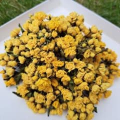 ドライフラワー 花材 黄色のサムネイル
