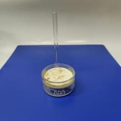 ADA パレングラス·ビートル 40Φ co2用 - メルカリ