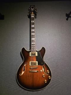 アイバニーズjsm100 ジョンスコフィールドのサムネイル