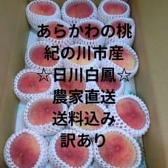 あらかわの桃☆紀の川市産☆日川白鳳18個☆農家直送☆送料込み訳ありA 