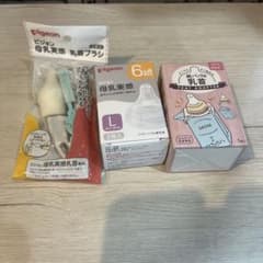 ピジョン 母乳実感乳首と乳首ブラシと紙パック用乳首3セットのサムネイル