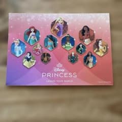 Disney PRINCESS 엽서 비매품