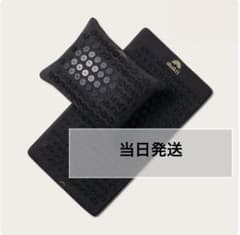 正規品・新品】シャクティセットプレミアム マット&ピローセット