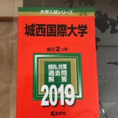 城西国際大学 2019年版のサムネイル